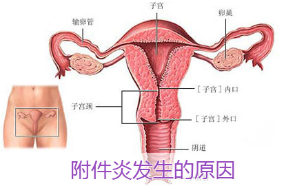 20140924040525515.jpg